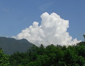 新信州暦　梅雨明け１０日野菜農家は大忙し
