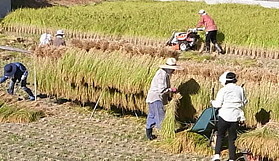 新信州暦　つけ菜の種まきが終わると秋本番