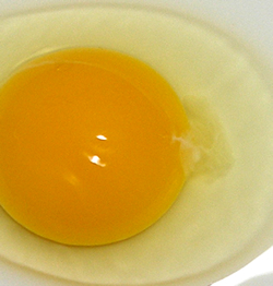 たまごたまごたまご、たまごが大好きな人へ