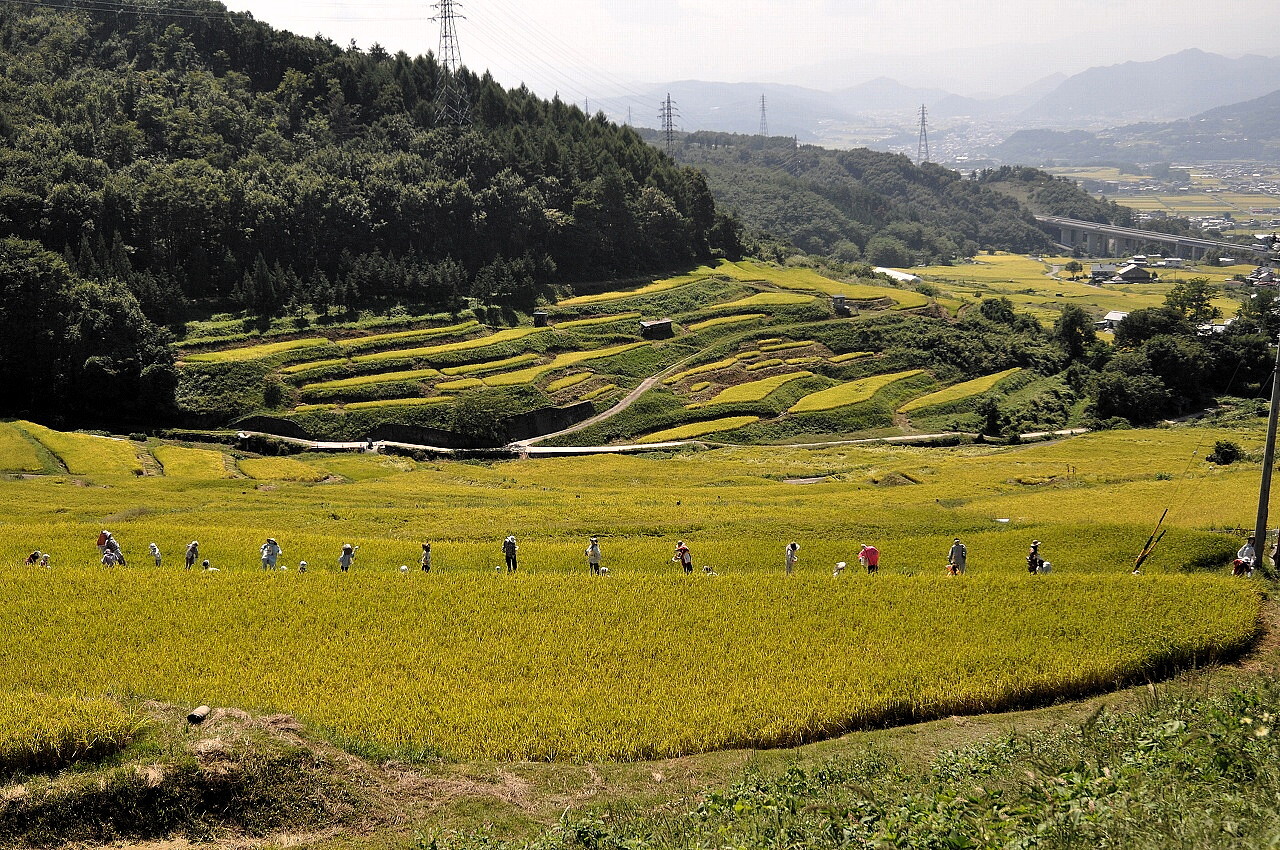 今年も案山子たちに会うことができて嬉しい｜長野県のおいしい食べ方