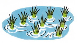 新信州暦　りんごの花を祈りながら摘む時節