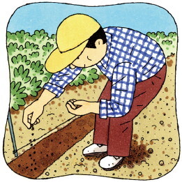 日本で２番目に多かった長野県の耕作放棄地