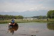 風薫る信州にあなたも棚田を見に来ませんか