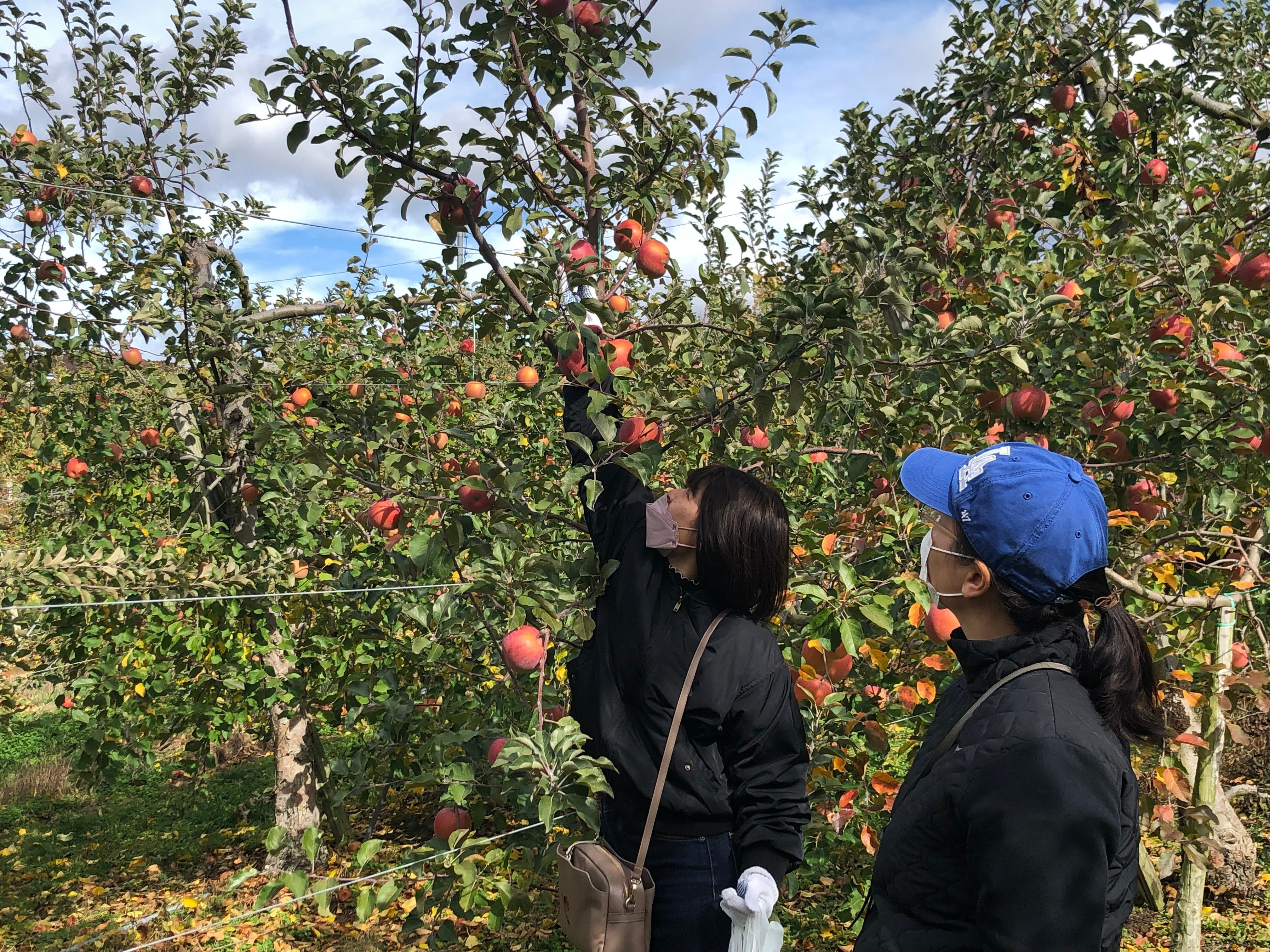 盛りだくさん！「おいしい信州」体験ツアー in 上田
