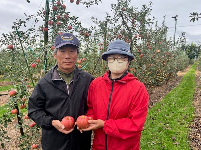 甘くてジューシーなシナノスイート。安曇野から全国へ