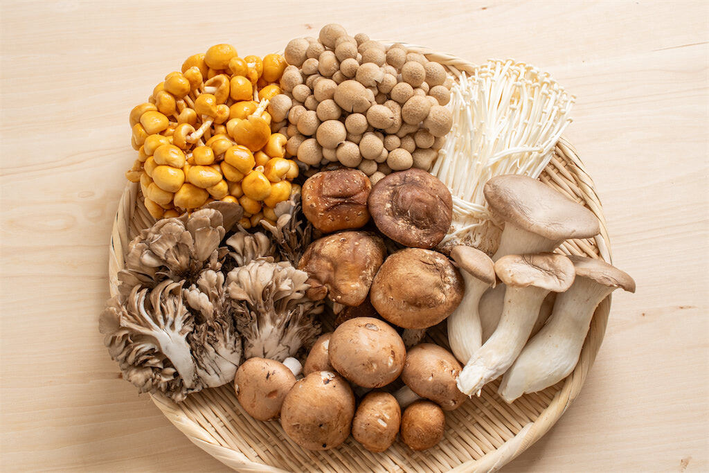 noutiku02-20250917