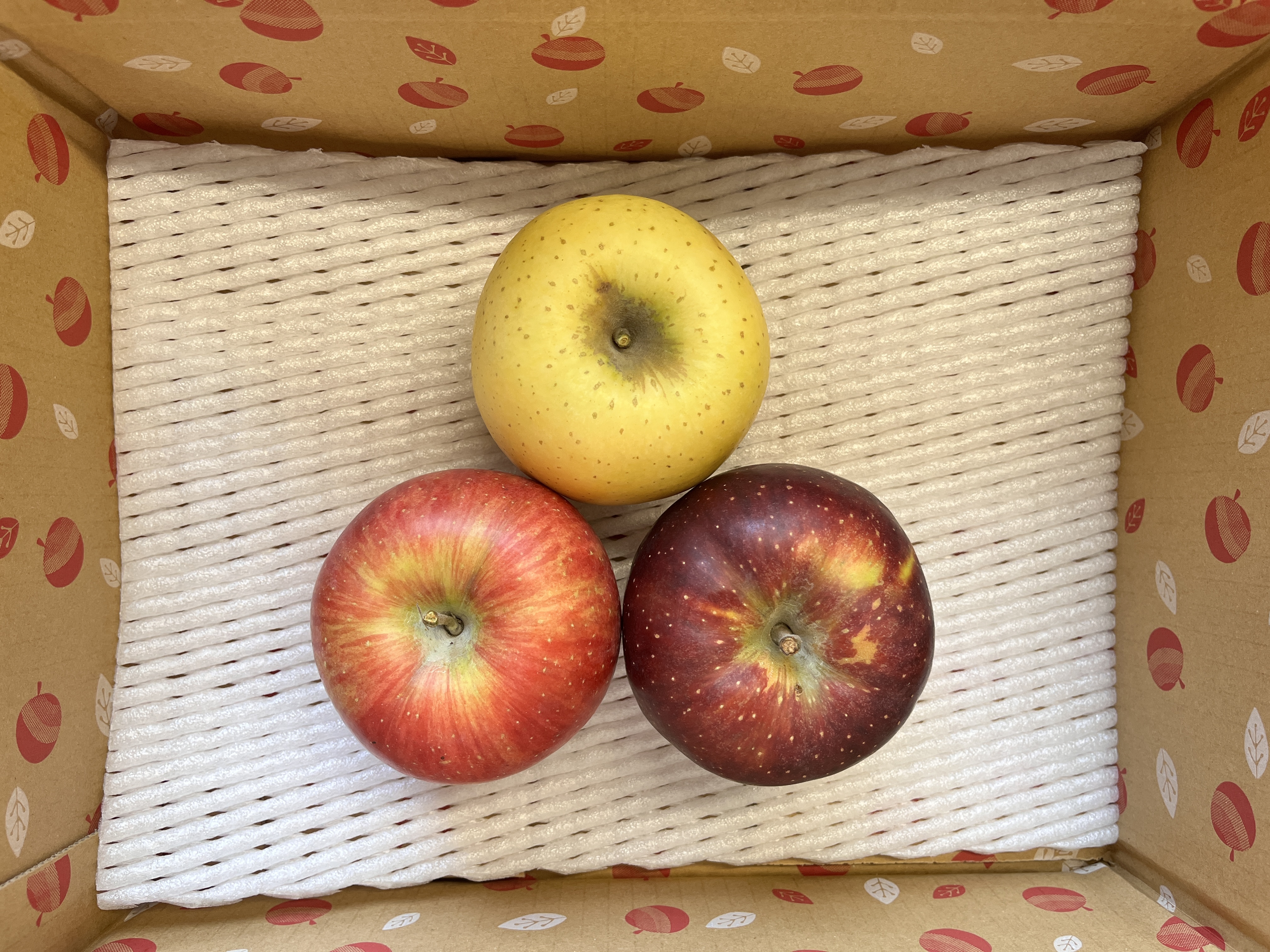 「りんご三兄弟」収穫・出荷真っ最中！