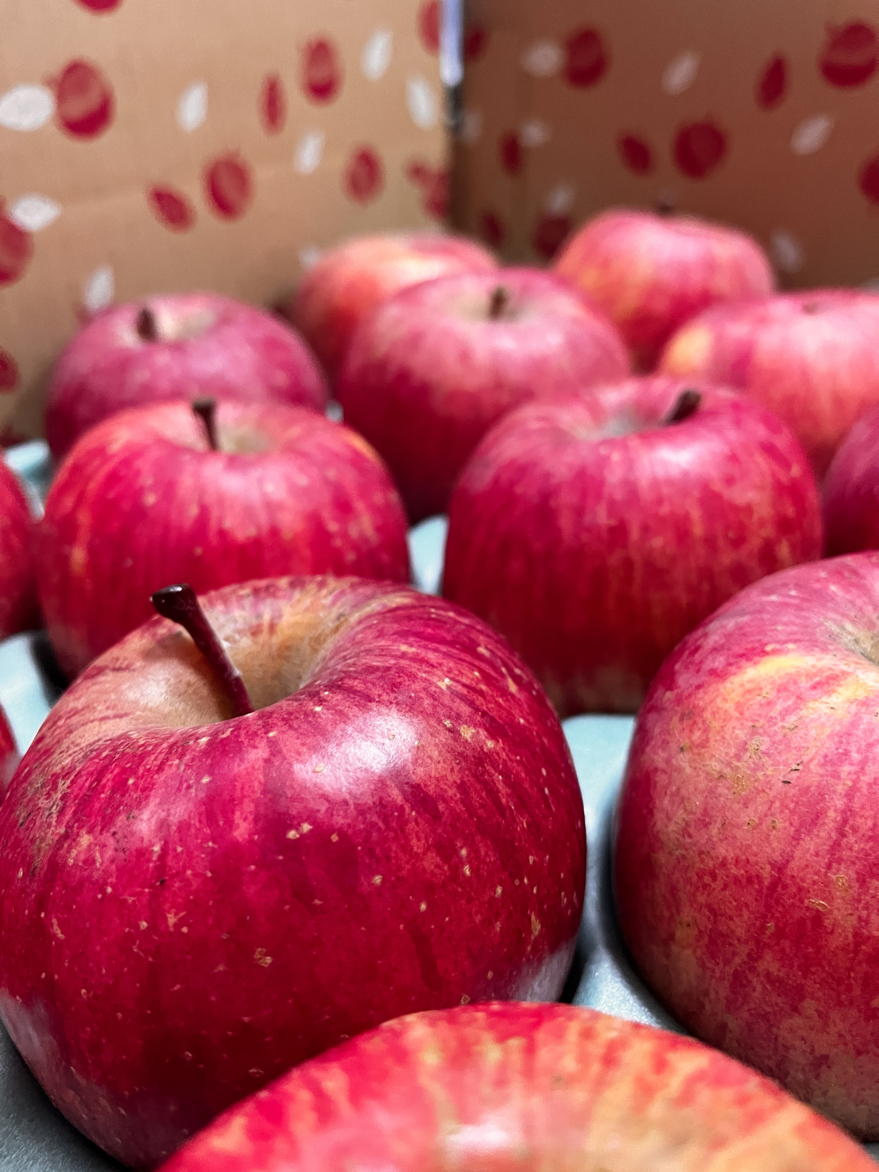 秋の慌ただしさを越えて──農業ガールズ集結、乞うご期待！