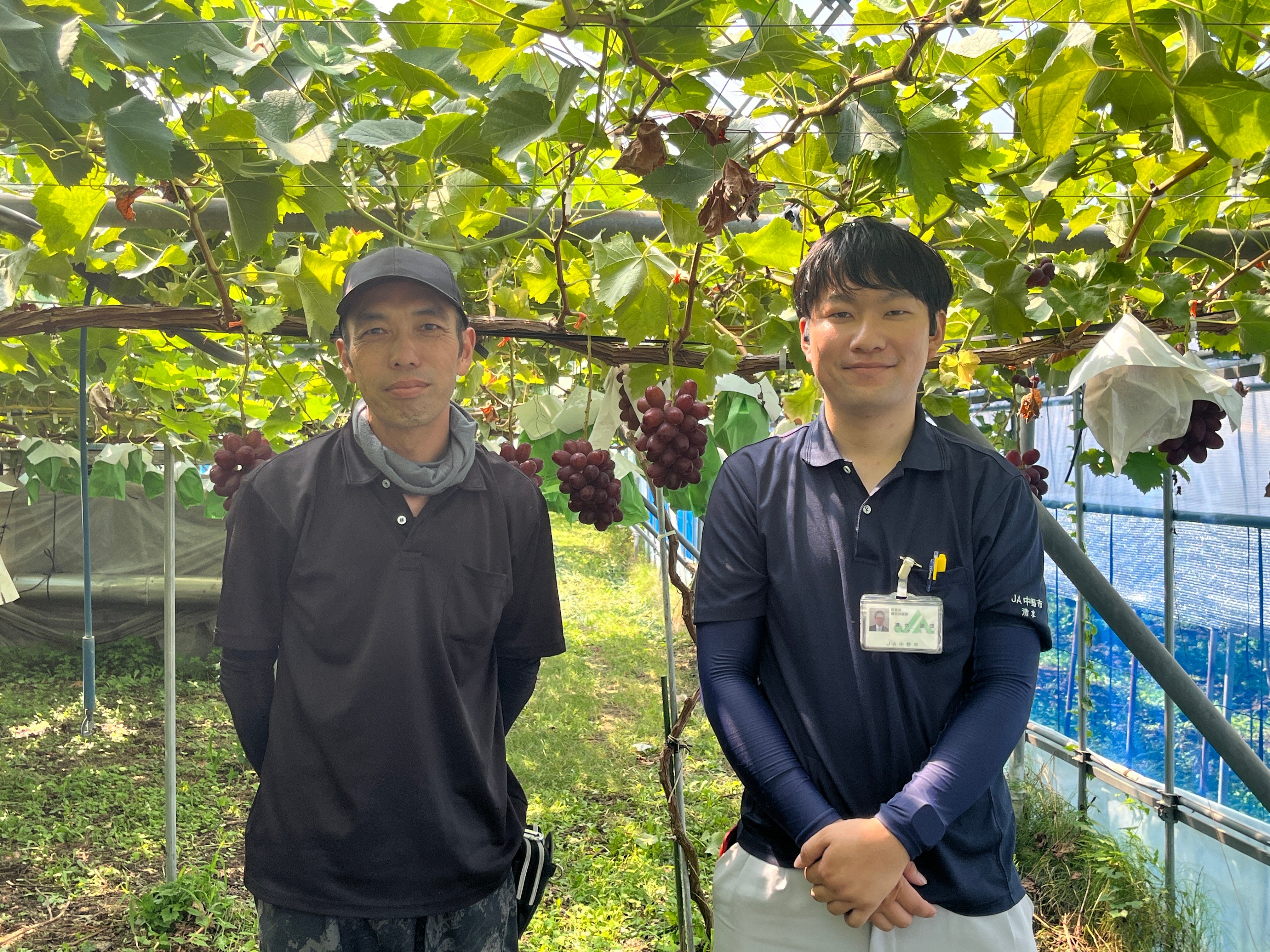 白ナス農家の小原さんとJA長野八ヶ岳の小池さん